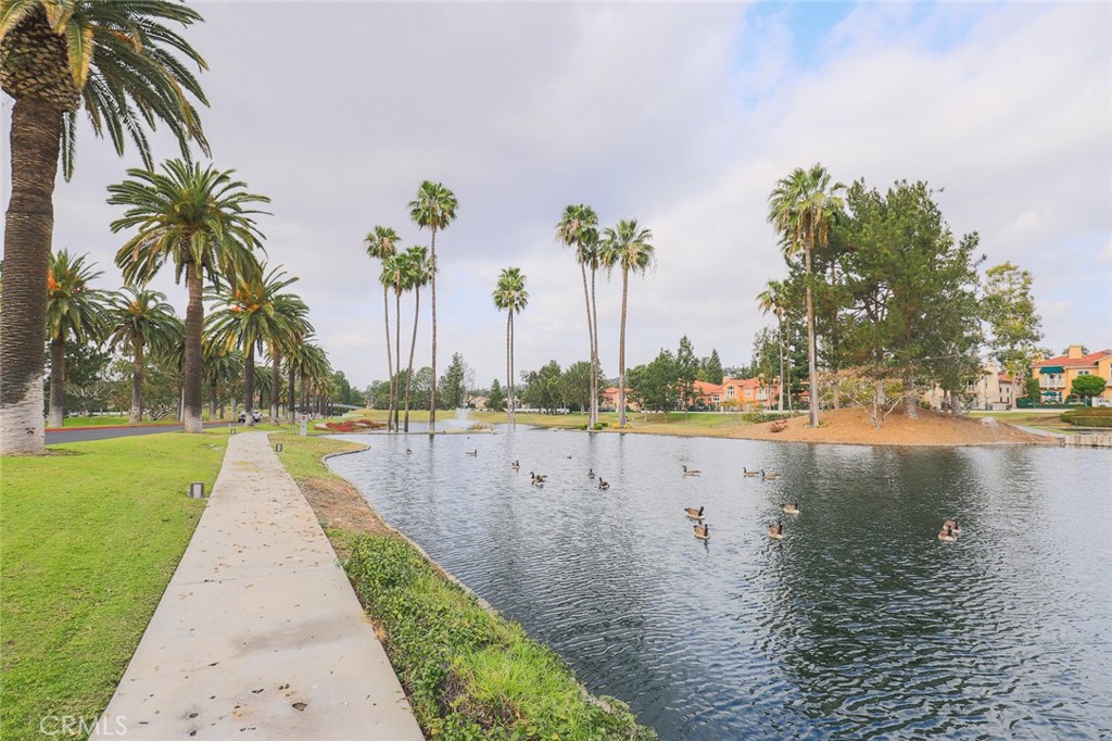 Mandevilla (MAND) - Residential Lease