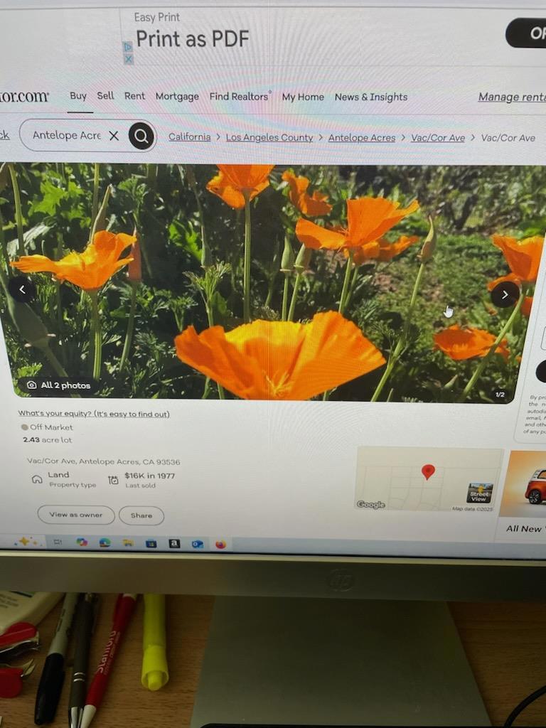 Main image without alt text