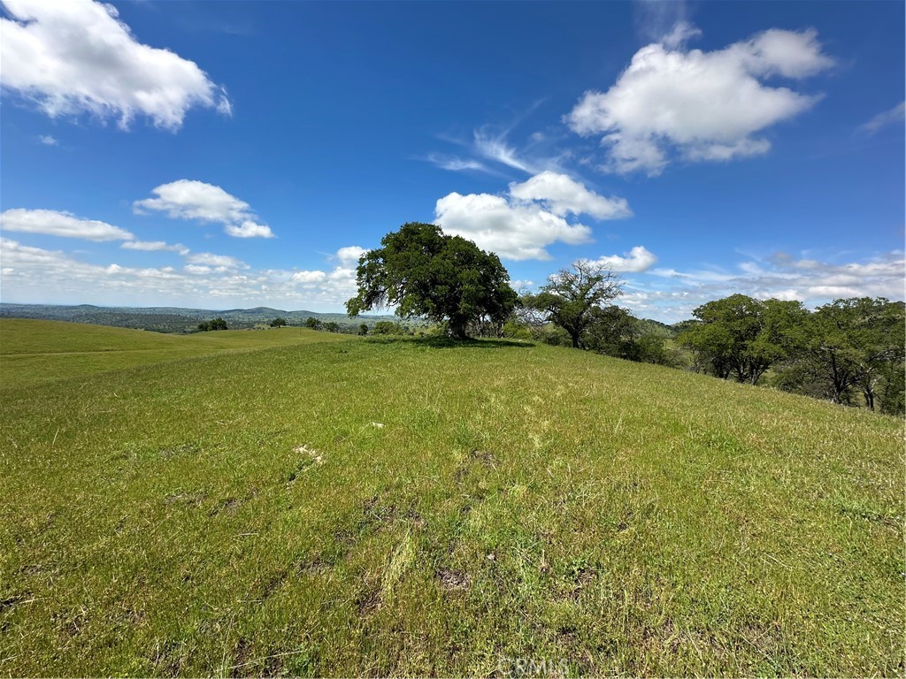 An absolutely breathtaking site with dramatic views to the valley! This is an undeveloped parcel surrounded on 3 sides by a larger parcel. There is no well as of yet but you can have a well drilled. This property won't last long. Give us a call for a private showing.