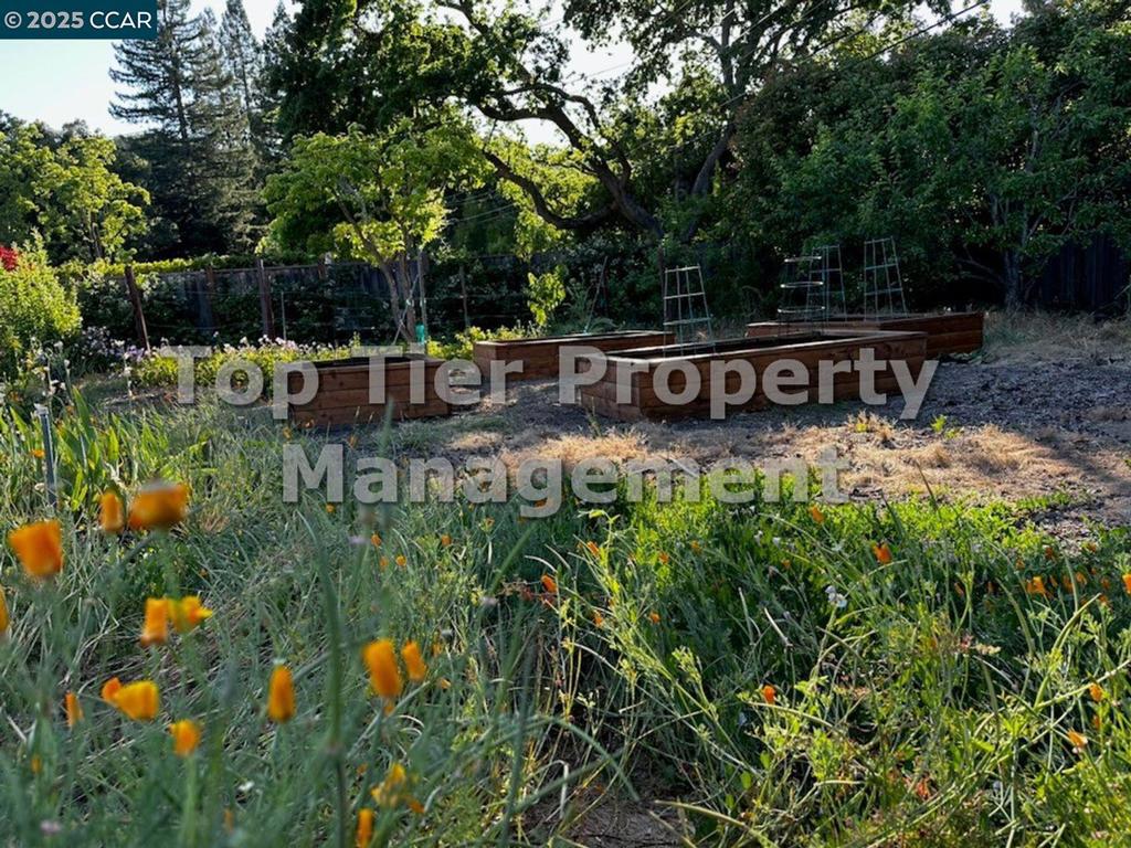 Other - Residential Lease