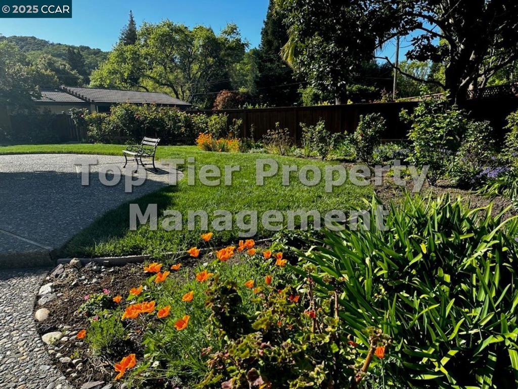 Other - Residential Lease