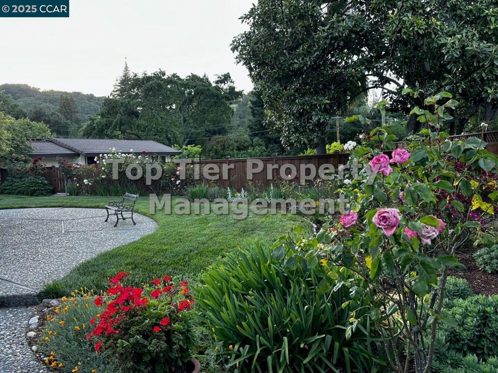 Other - Residential Lease