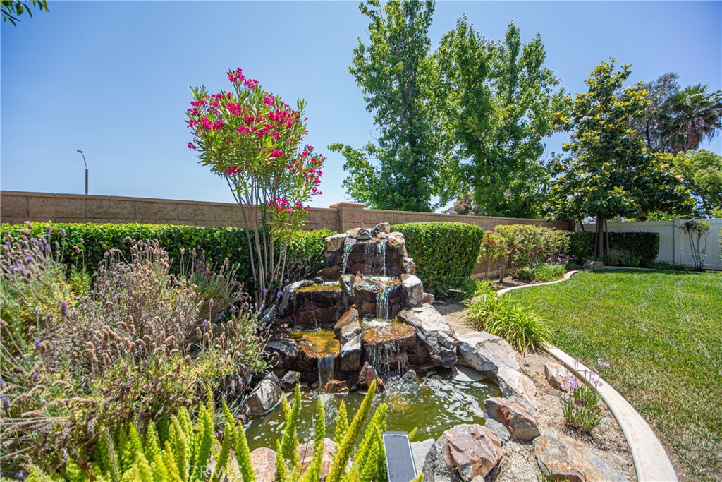39572 Ramshorn Drive