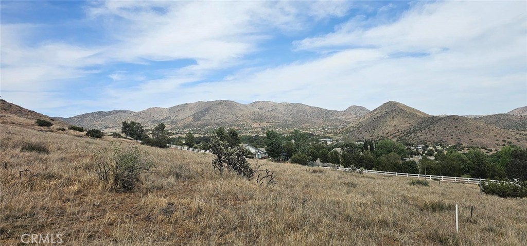 Custom Acton (CACTO) - Land