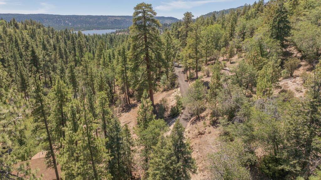 1275 Fawnskin Drive