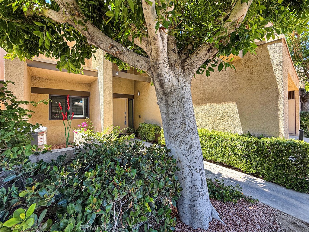 1137 Tiffany Circle S