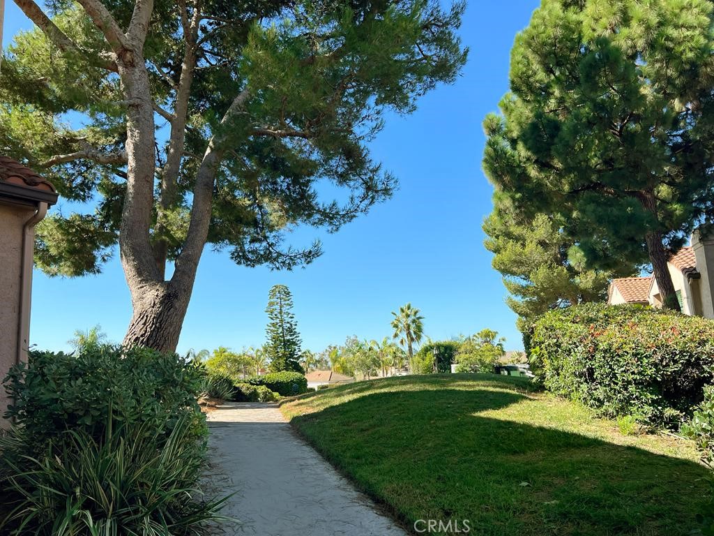 Vista Pacifica (VP) - Residential Lease