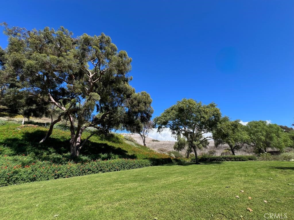 Vista Pacifica (VP) - Residential Lease