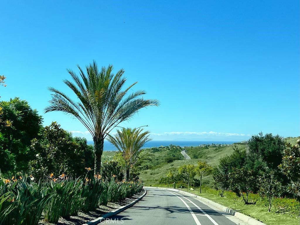 Vista Pacifica (VP) - Residential Lease