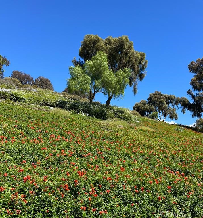 Vista Pacifica (VP) - Residential Lease