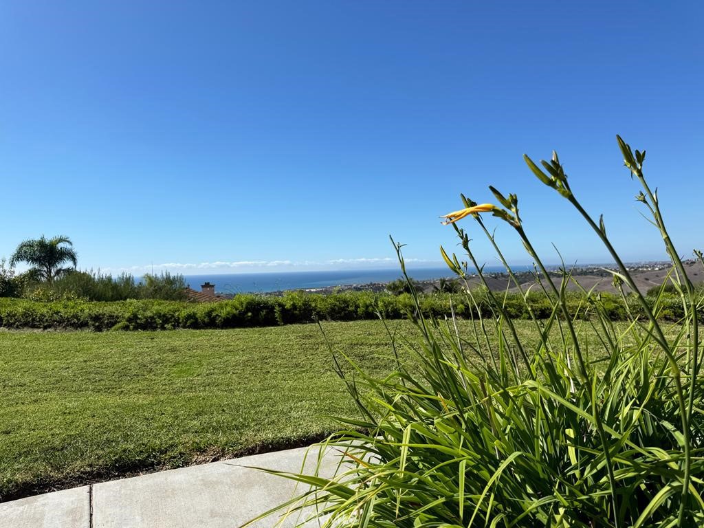 Vista Pacifica (VP) - Residential Lease