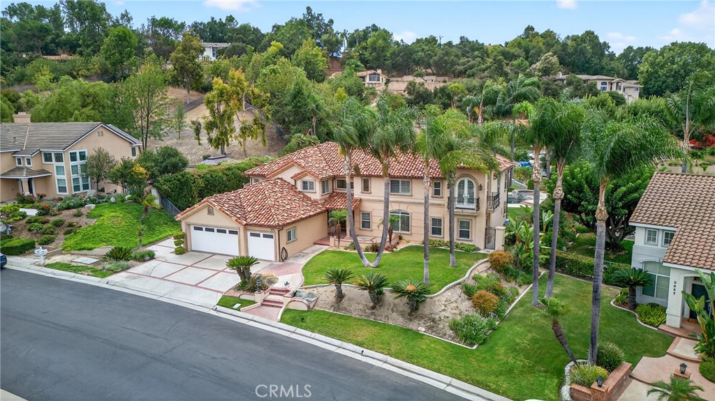2651 Palomino Drive