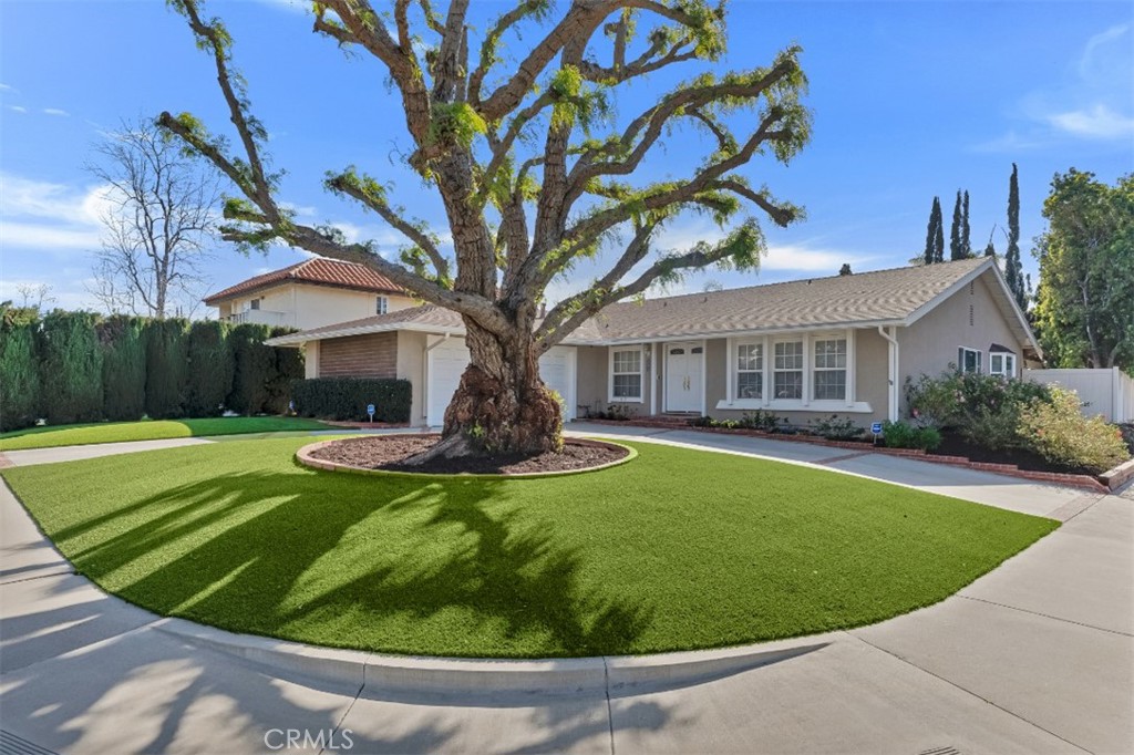 20828 Bermuda Street