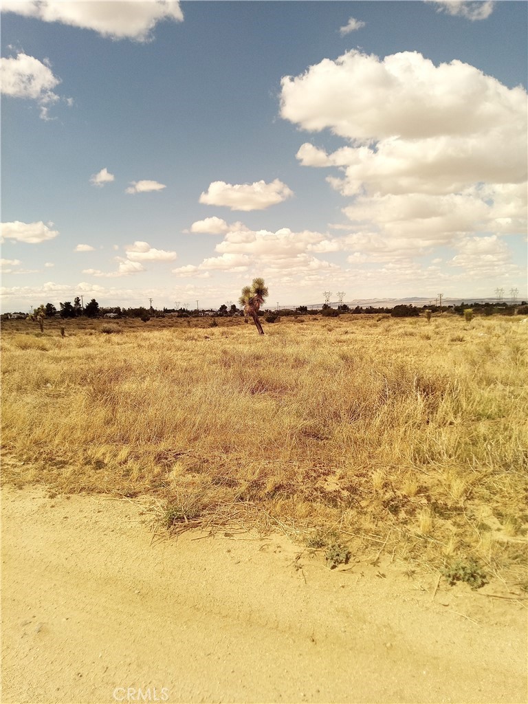 Are you looking for a vacant piece of land. Here it is close to downtown Phelan and 15 minutes to Hesperia, Victorville. Phelan is a small Rural town, experiencing extensive growth with the Amazon facility being built. Hundreds of Job opportunities for our High Desert community. This Residential lot offers 2+ acres of land for you to build and still have space for farm animals.
Water and Power are very close, with many executive homes nearby.
Water Hydrant on Juniper and Paramount
Call me for your private showing.