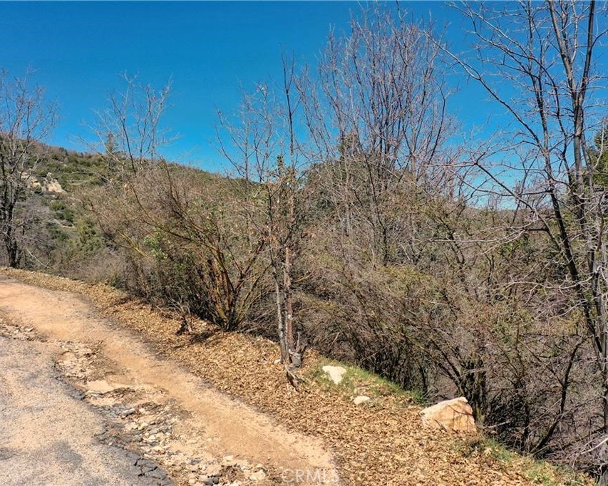 Nestled in a peaceful and beautifully wooded area, these two combined lots offer stunning views that reach all the way to the high desert! Located on Acacia Road, utilities such as power and water are nearby. Enjoy the quiet, private setting just 10 minutes from the shops and dining at Lake Arrowhead Village. Great for outdoor enthusiasts!
Please note: the lots feature sloped terrain, and Acacia Road is an unmaintained dirt road, and septic system would be required for any future development. Buyers are encouraged to confirm connection distances and costs. Check out the photos and plot map and be sure to visit the property in person to see its full potential!