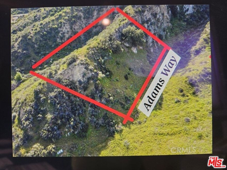 BEAUTIFUL LOT LOCATED IN THE CITY OF VAL VERDE.  THIS RESIDENTIAL IS 16,116SQFT IN A LCR1 ZONING.  A QUIET AND SERENE COMMUNITY OF VAL VERDE WITH BREATHTAKING VIEWS.  FANTASTIC OPPORTUNITIES TO DEVELOP AND LIVE SURROUNDED BY NATURE .  UTILITIES ARE ACCESIBLE FROM CHIQUITO CANYON RD.  BUILD YOUR DREAM HOME OR USE IT NOW AS A CAMPING GROUND.  IT WILL BE FACING THE FUTURE ADAMS WAY.   IMMERSE YOURSELF IN THE BEAUTY AROUND YOU WITH STUNNING HIKING TRAILS, PARKS AND NEARBY LAKES.  THE PROPERTY PROVIDES AN ABUNDANCE OF OPPORTUNITIES FOR THAT OUTDOOR ENTHUASIAST OR FROM SOMEONE THAT WANTS TO HAVE AN OFF-GRID TYPE LIFESTYLE.  LOCATED NEAR VALENCIA, CASTAIC, AND SIX FLAGS MAGIC MOUNTAIN.  THIS BEAUTIFUL PARCEL OF LAND IS IN A SECLUDED AREA OFFERING GREAT PRIVACY.  CHECK WITH THE DEPARTMENT OF PLANNING LOS ANGELES COUNTY IN VALENCIA, CALIFORNIA FOR PLANNING AND DEVELOPMENT OF THE LOT.