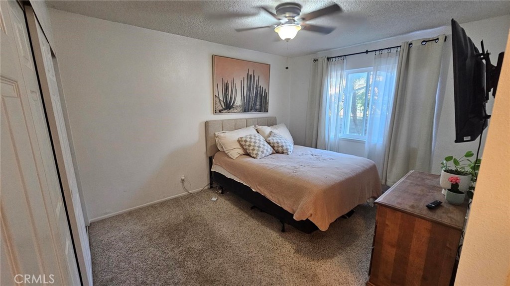 2368 Carrotwood