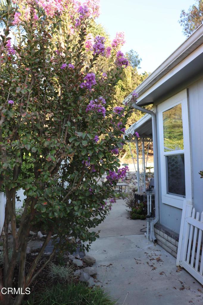 Camarillo Springs MHP - 3883 - Residential