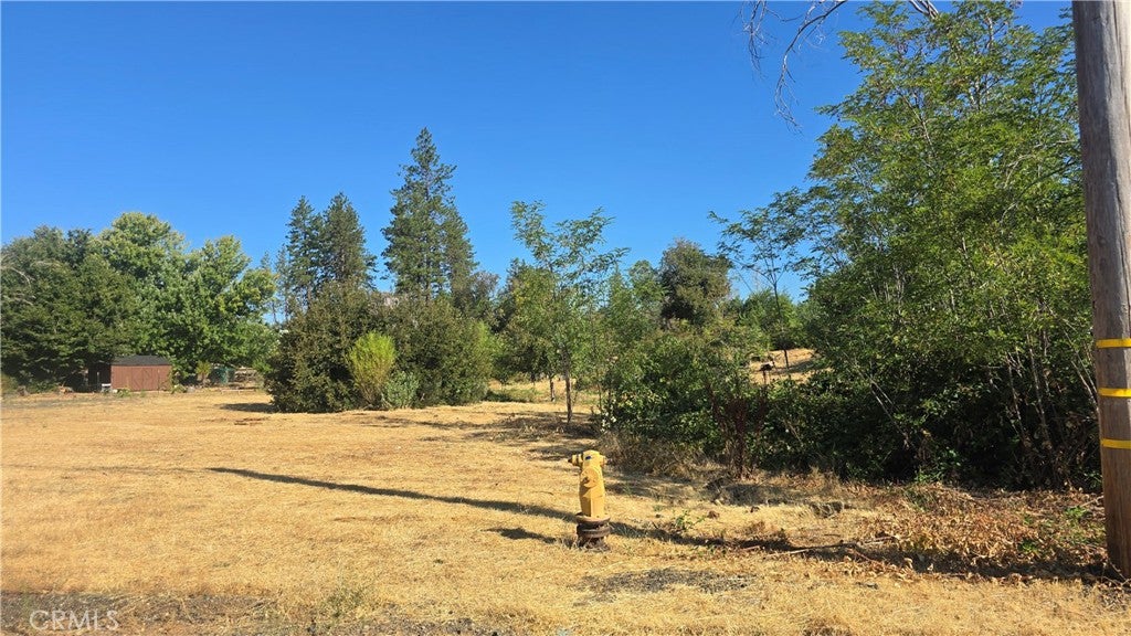 1833 Stark Lane