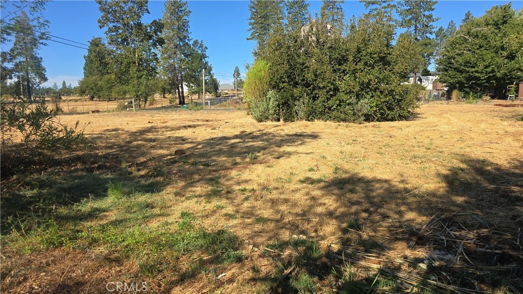 1833 Stark Lane