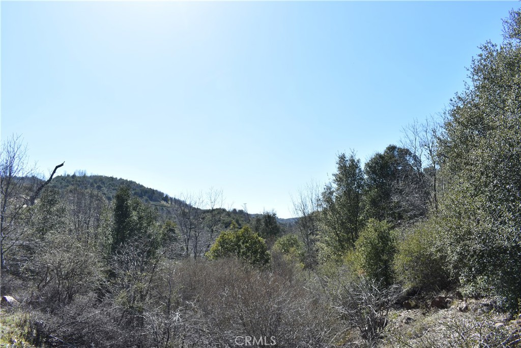 This vacant land lot is being offered with several other vacant land lots in Julian CA. All but one lot can be reached in a regular vehicle except the small lot is landlocked. Please see the supplemental attachments for each lots details.