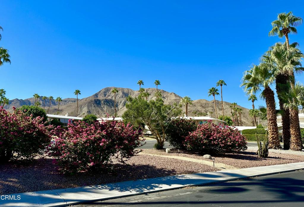 Desert Braemar - Residential Lease