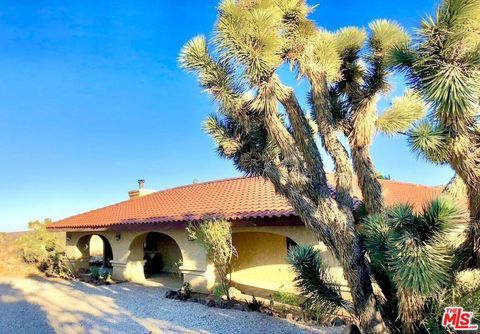 Photo of 51735 St James Place, Pioneertown, CA 92268 (MLS # 25564307)