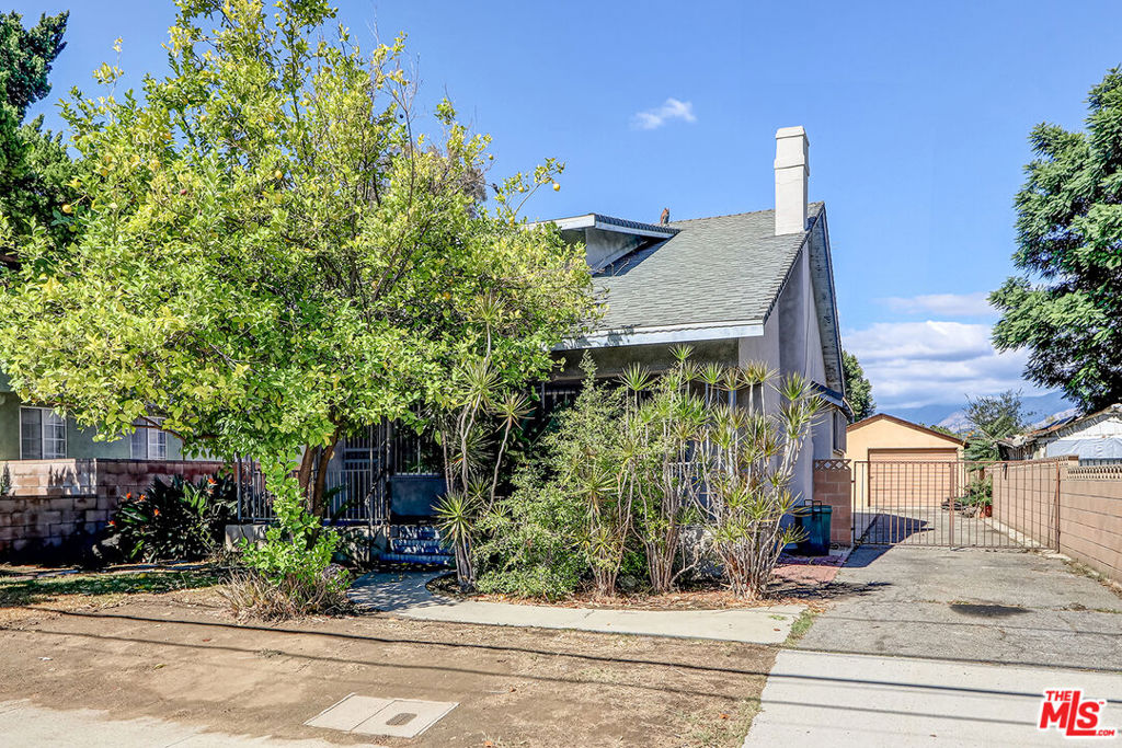 Main image without alt text