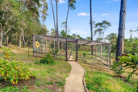 Tiny photo for 6515 Kathryn Drive, Cambria, CA 93428 (MLS # SC26069070)