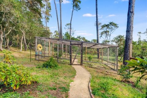 Tiny photo for 6515 Kathryn Drive, Cambria, CA 93428 (MLS # SC26069070)