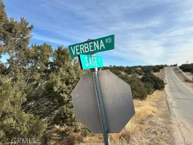 0 Verbena