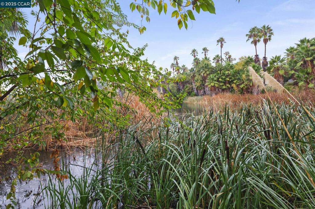 Not Listed - Residential