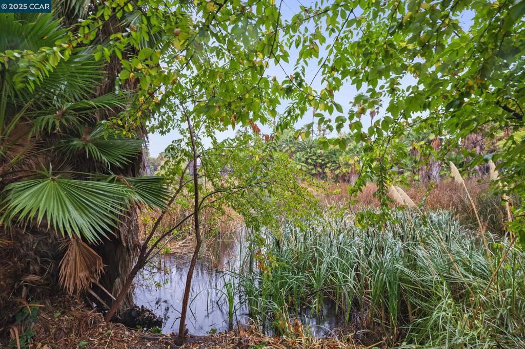 Not Listed - Residential