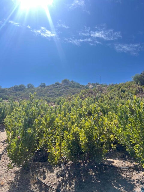 Photo of 26336 N Lake Wohlford Road, Valley Center, CA 92082 (MLS # NDP2608257)