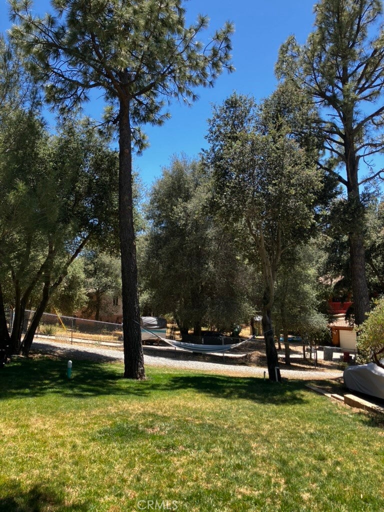 28919 Deer Creek