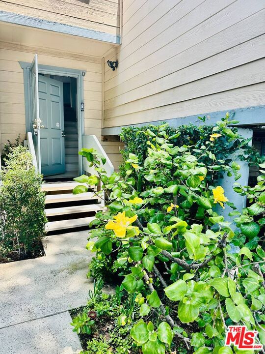 - Residential Lease