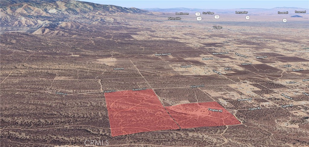 8005 Tumbleweed Road