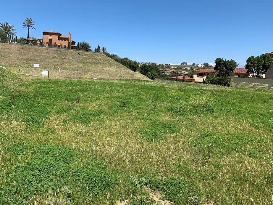 2291 Verona Court