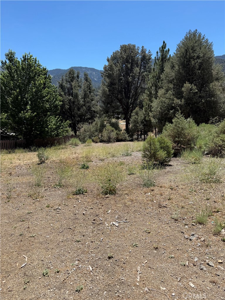 Are you looking for a very buildable lot with great views of the north side of Mt Pinos? This is it, Easy build with slight slope down from street. A lot of the trees have been cleared to begin construction when you want. Drive by and see for yourself, and look at the views of the north side of Mt Pinos. Property is located so you can walk to everything, Market, Start with a great selection of pastries at Bear Claw Bakery & Cafe, Great coffee and sandwiches at Bigfoot Cafe, Great Lunch at La Lena or Hungry Als Bar-B-Que, the Post Office is also in the town center, Shopping, One of our local churches, Playground for the kids, We have something for everyone, You must see this special property.