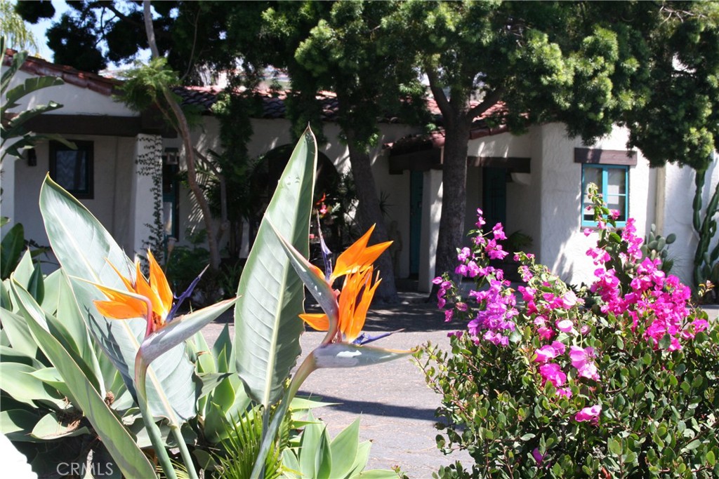 other - Residential Lease