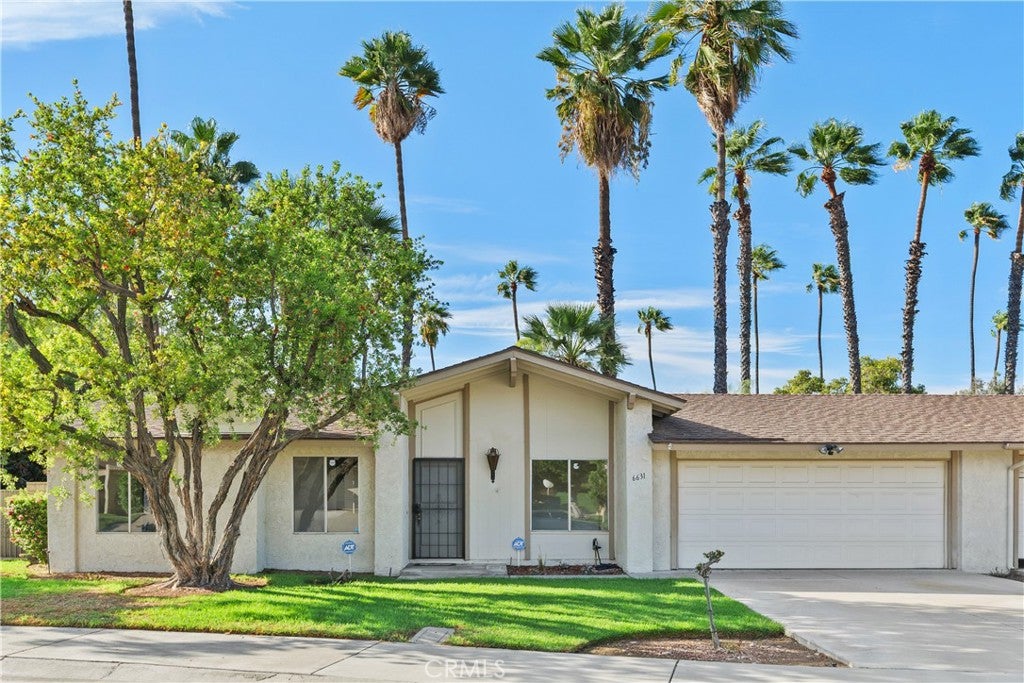 6631 Wintertree Drive