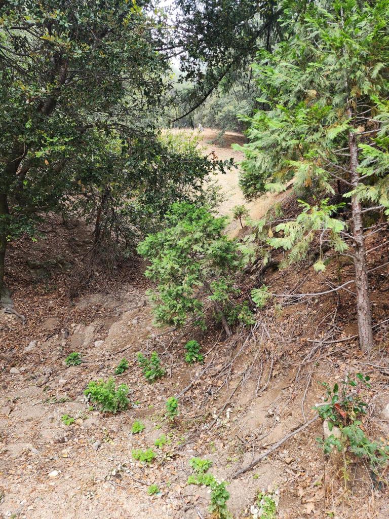 0 Fern Canyon Road