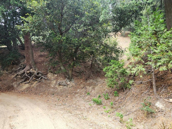 Photo 1 of 5 — 0 Fern Canyon Road, Crestline, CA 92325