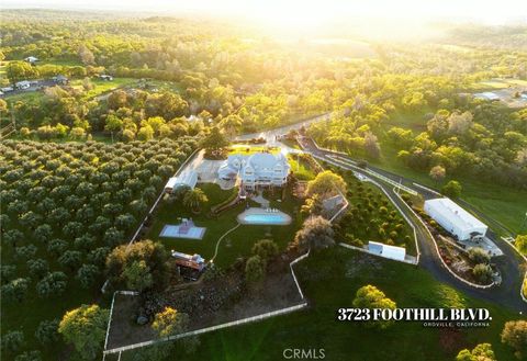 3723 Foothill Boulevard Oroville CA 95966