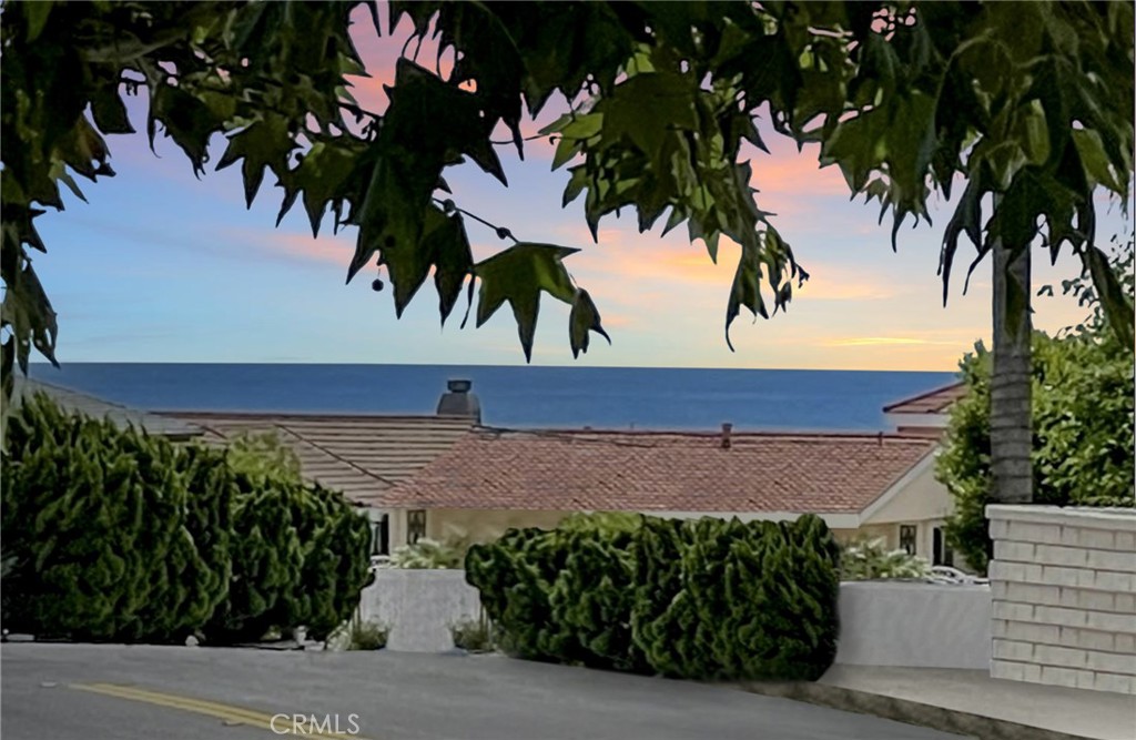 TURN KEY, REMODELED with an OCEAN VIEW in the sought after Shorecliff Villas Community! This beauty is a QUICK distance to the BEACH!! This END UNIT home is the ultimate in privacy and space! Enter into a truly stunning and meticulously kept 2 bedroom, 2 bath home, where you will find an open floor plan featuring LVP flooring throughout, dual paned vinyl windows, ceiling fans and so much more. The floor to ceiling sliding glass doors open up to the expansive patio, which brings in so much natural light and showcases a VIEW to the OCEAN. The layout of this Home allows versatile living options, providing space for a formal dining room or another casual family room that encourages indoor/outdoor entertaining. This kitchen is absolutely optimal for entertaining with white cabinets, granite countertops to compliment the upgraded appliances and opens to the large kitchen/dining area. Right off the dining room & family room you step out on to an expansive deck where you can see out to the ocean and take in the So Cal sunshine and ocean breezes. Down the hallway you'll pass a large laundry space with built in storage. The oversized master bedroom showcases gorgeous floor to ceiling glass closet doors, custom NEW Closet World built in organizers to maximize storage, views to 1 of 2 pool areas and has beautifully appointed en-suite bathroom. The additional bedroom has an abundance of space and plenty of natural light, as well as a walk in closet for maximum storage allowance. This unit has a private entrance and also comes with a 2 car garage with loft storage, and a CUSTOM HANGING VERTICAL SURFBOARD RACK, which is a bonus! Being situated at the end there is a large "green space" that adds to the privacy and tranquility of this home. There are two association pools and spas to enjoy or you can grab your bike out of your garage or put on your shoes and head down to Poche beach for a dip or surf. Come live the San Clemente lifestyle today. This is a home you won’t want to miss!