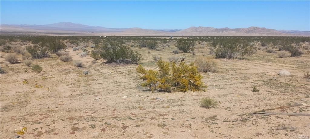 0 N Joshua Tree