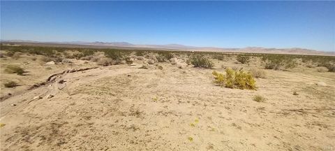 Photo of 0 N Joshua Tree, Johnson Valley, CA 92285 (MLS # JT26157452)
