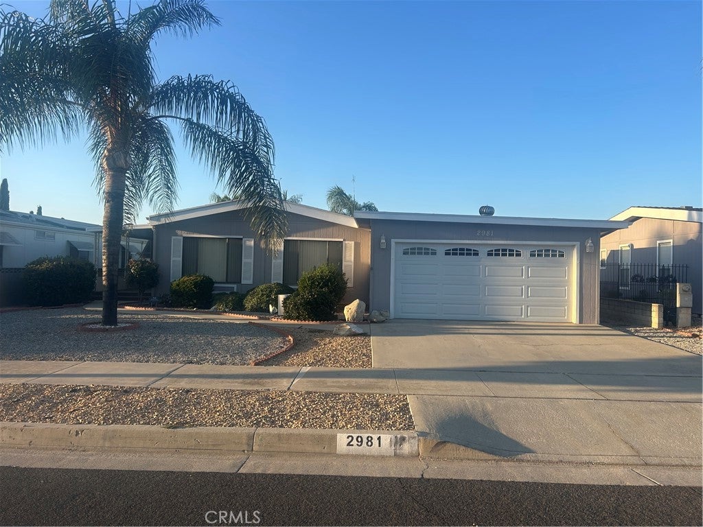 2981 Blue Spruce