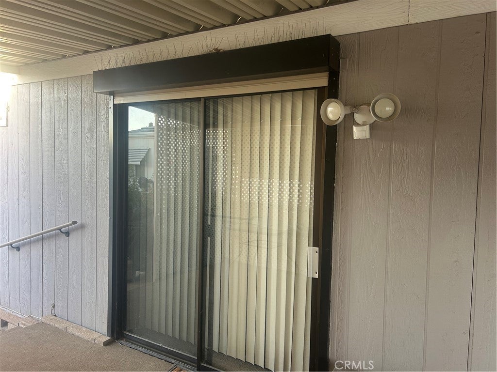 2981 Blue Spruce