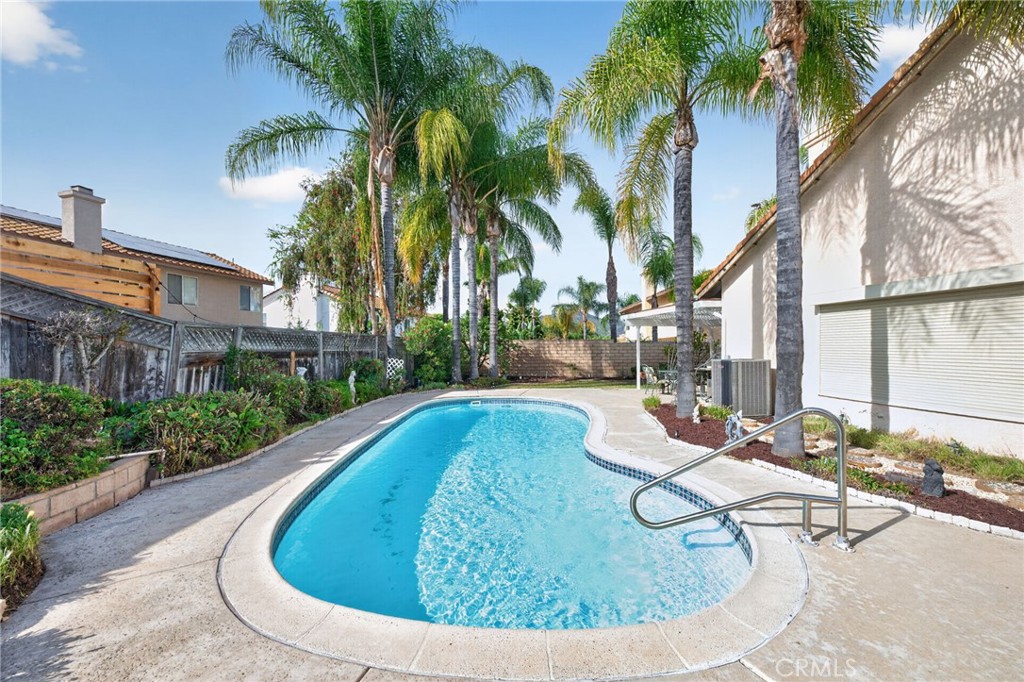 35584 Larkspur